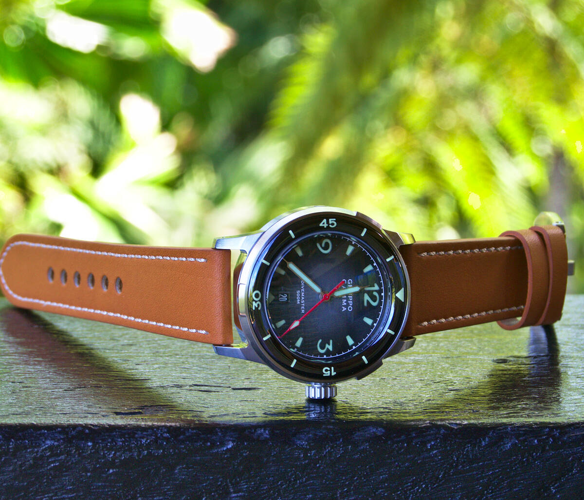 Gruppo Gamma Divemaster DG-03 Dive Watch